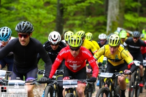 Photos 2019 by Fabrice Gobbo