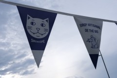 DSCF0236