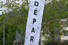 DSCF0253