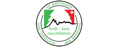 Forêt NE